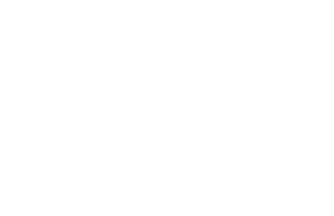 dunies band logo